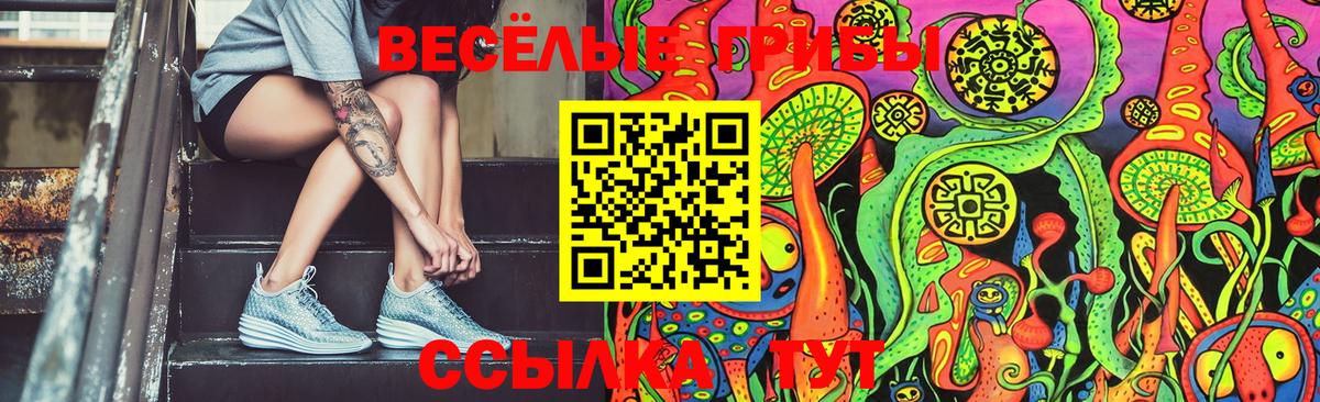 что такое   Вход с VPN  Петропавловск-Камчатский  Галлюциногенные грибы Magic Shrooms 