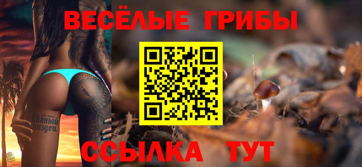 Псилоцибиновые грибы Magic Shrooms Петропавловск-Камчатский